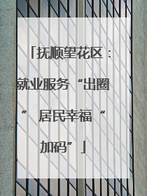 抚顺望花区：就业服务“出圈” 居民幸福“加码”