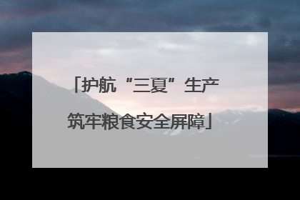 护航“三夏”生产 筑牢粮食安全屏障