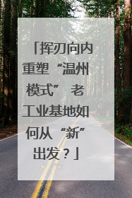 挥刃向内重塑“温州模式” 老工业基地如何从“新”出发？