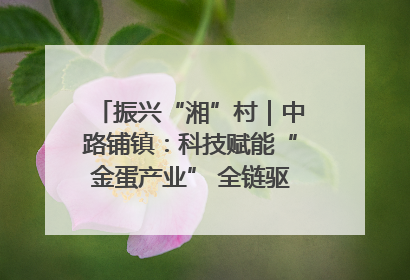 振兴“湘”村｜中路铺镇：科技赋能“金蛋产业” 全链驱动乡村振兴