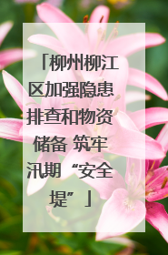柳州柳江区加强隐患排查和物资储备 筑牢汛期“安全堤”