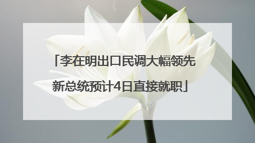 李在明出口民调大幅领先 新总统预计4日直接就职