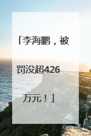 李海鹏，被罚没超426万元！