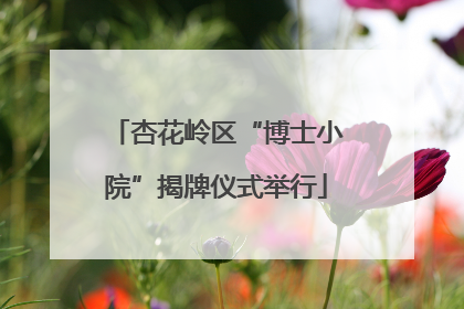 杏花岭区“博士小院”揭牌仪式举行