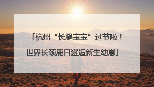 杭州“长腿宝宝”过节啦！世界长颈鹿日邂逅新生幼崽