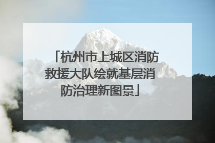 杭州市上城区消防救援大队绘就基层消防治理新图景