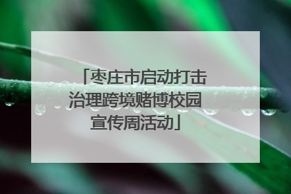 枣庄市启动打击治理跨境赌博校园宣传周活动