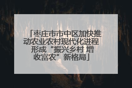 枣庄市市中区加快推动农业农村现代化进程 形成“振兴乡村 增收富农”新格局