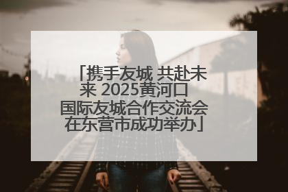 携手友城 共赴未来 2025黄河口国际友城合作交流会在东营市成功举办