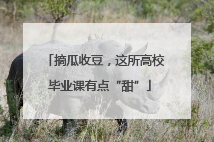 摘瓜收豆，这所高校毕业课有点“甜”