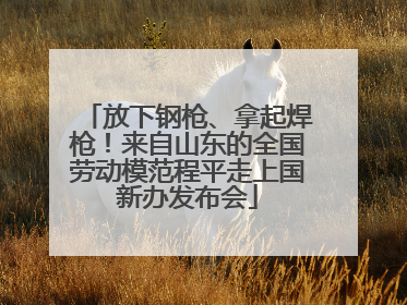 放下钢枪、拿起焊枪！来自山东的全国劳动模范程平走上国新办发布会