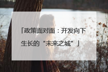 政策面对面：开发向下生长的“未来之城”