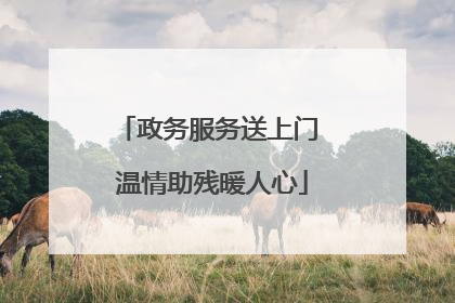 政务服务送上门 温情助残暖人心