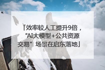 效率较人工提升9倍，“AI大模型+公共资源交易”场景在启东落地