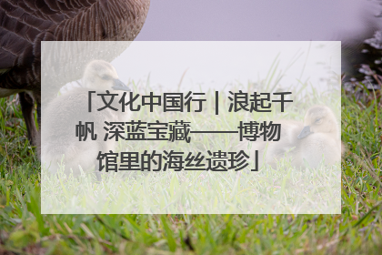 文化中国行｜浪起千帆 深蓝宝藏——博物馆里的海丝遗珍