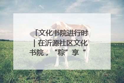 文化书院进行时｜在沂源社区文化书院，“粽”享“端午”美好时光