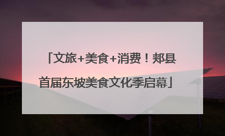 文旅+美食+消费！郏县首届东坡美食文化季启幕