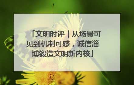 文明时评｜从场景可见到机制可感，诚信淄博锻造文明新内核