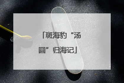 斑海豹“汤圆”归海记