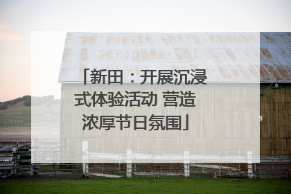 新田：开展沉浸式体验活动 营造浓厚节日氛围