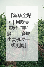 新华全媒+｜风吹麦浪好“丰”景——多地小麦机收一线见闻