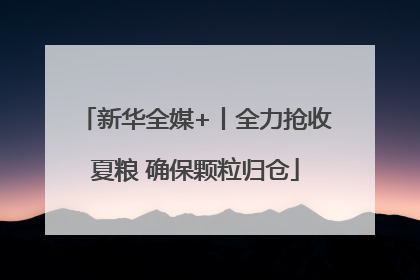新华全媒+丨全力抢收夏粮 确保颗粒归仓