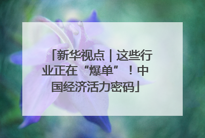 新华视点｜这些行业正在“爆单”！中国经济活力密码