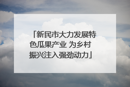 新民市大力发展特色瓜果产业 为乡村振兴注入强劲动力