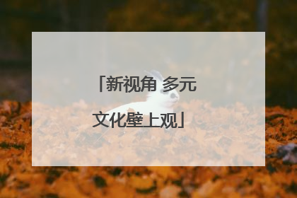 新视角 多元文化壁上观