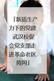 新质生产力下的党建 武汉校促会党支部走进革命老区黄冈
