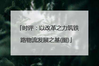 时评：以改革之力筑铁路物流发展之基(图)