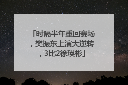 时隔半年重回赛场，樊振东上演大逆转，3比2徐瑛彬