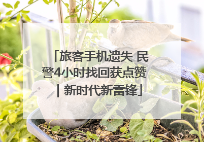 旅客手机遗失 民警4小时找回获点赞｜新时代新雷锋