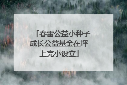 春雷公益小种子成长公益基金在坪上完小设立