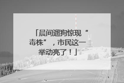 晨间遛狗惊现“毒株”，市民这一举动亮了！