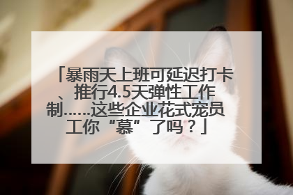 暴雨天上班可延迟打卡、推行4.5天弹性工作制……这些企业花式宠员工你“慕”了吗？