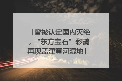 曾被认定国内灭绝，“东方宝石”彩鹮再现孟津黄河湿地