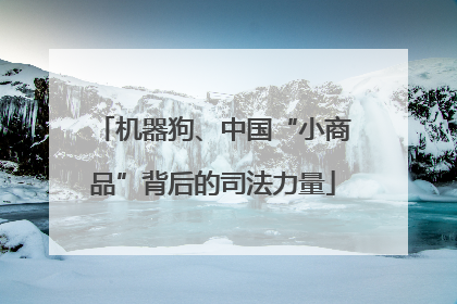 机器狗、中国“小商品”背后的司法力量