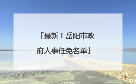 最新！岳阳市政府人事任免名单