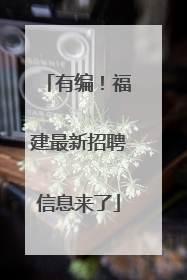 有编！福建最新招聘信息来了
