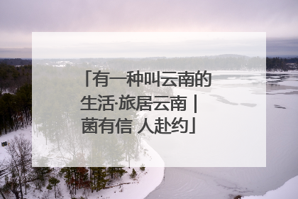 有一种叫云南的生活·旅居云南｜菌有信 人赴约