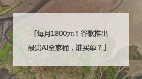 每月1800元！谷歌推出最贵AI全家桶，谁买单？