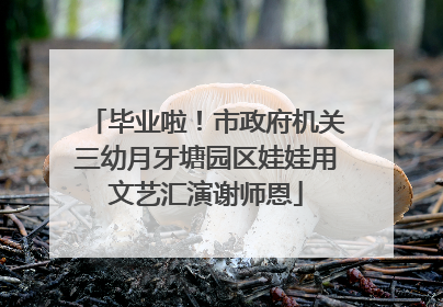 毕业啦！市政府机关三幼月牙塘园区娃娃用文艺汇演谢师恩