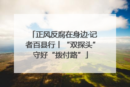 正风反腐在身边·记者百县行丨“双探头”守好“拨付路”