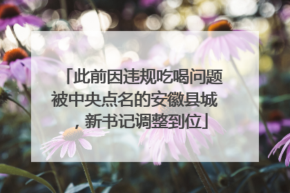 此前因违规吃喝问题被中央点名的安徽县城，新书记调整到位