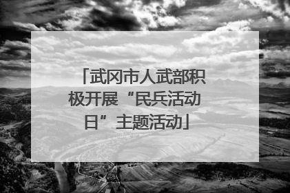 武冈市人武部积极开展“民兵活动日”主题活动