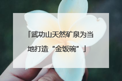 武功山天然矿泉为当地打造“金饭碗”