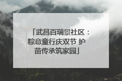 武昌百瑞景社区：粽意童行庆双节 护苗传承筑家园