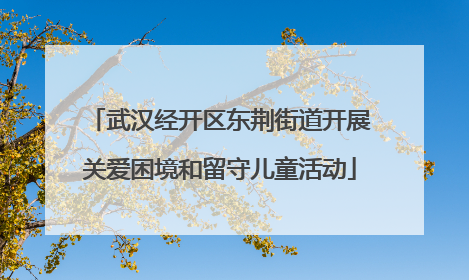 武汉经开区东荆街道开展关爱困境和留守儿童活动