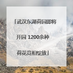 武汉东湖荷园即将开园 1200余种荷花竞相绽放